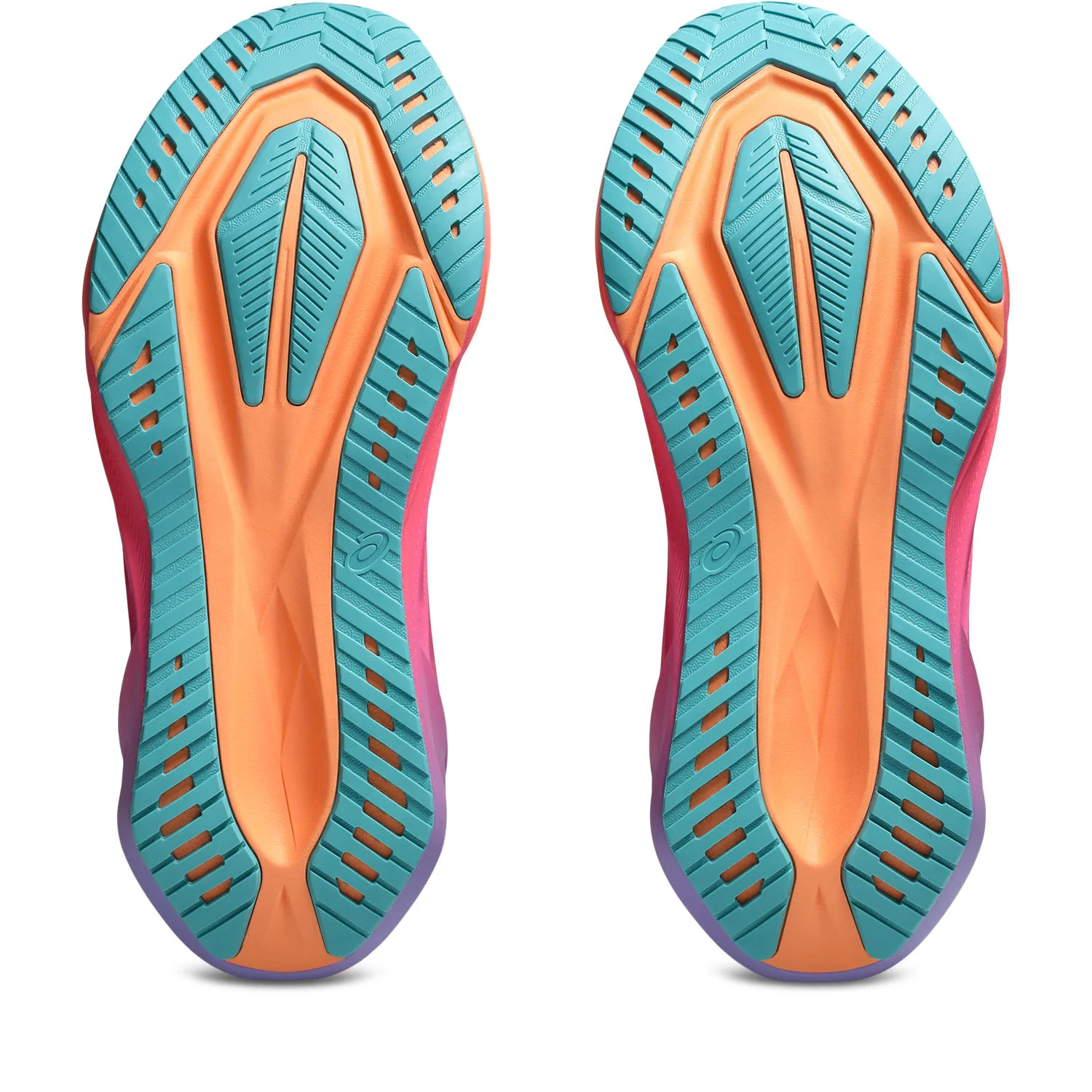 Asics Novablast 5 LA | Mojave / Amethyst | Unisex - Ekiden Sports